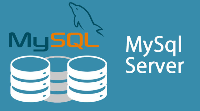 MySQL Server — the database behind the on-premise queue system